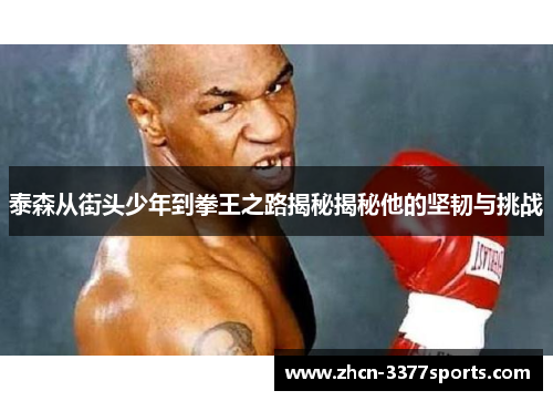 泰森从街头少年到拳王之路揭秘揭秘他的坚韧与挑战