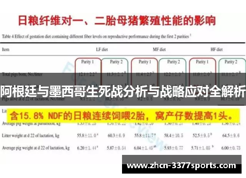 阿根廷与墨西哥生死战分析与战略应对全解析