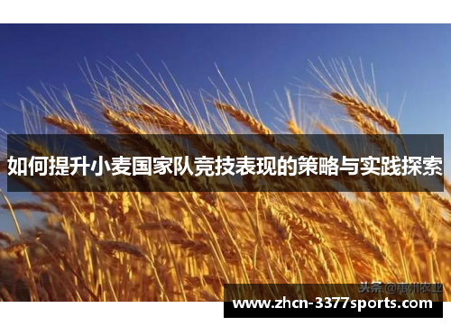 如何提升小麦国家队竞技表现的策略与实践探索