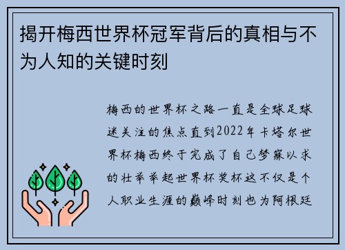 揭开梅西世界杯冠军背后的真相与不为人知的关键时刻